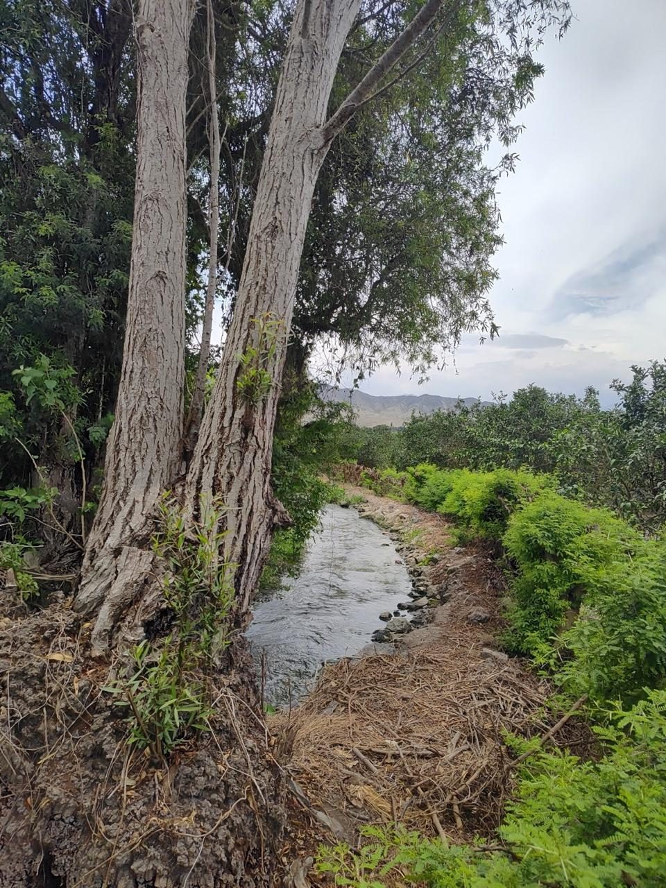 Quebrada natural